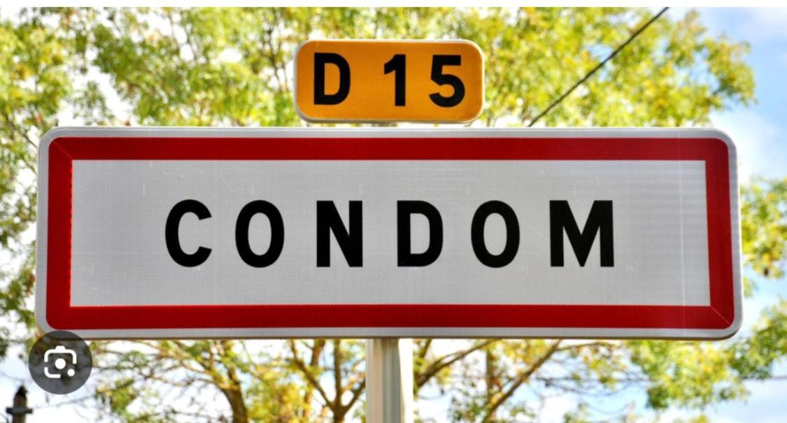 " Venez Dormir Chez Nous " #Condom#Gascogne#D'Artagnan#Armagnac#Le Bonheur Est Dans Le Gers Buitenkant foto